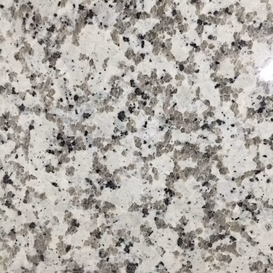 G681/G682/G603/G654/G664 China Cheap Stone Granite Slab with Dry Stone Layout